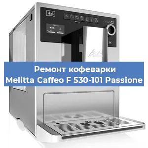 Замена прокладок на кофемашине Melitta Caffeo F 530-101 Passione в Красноярске
